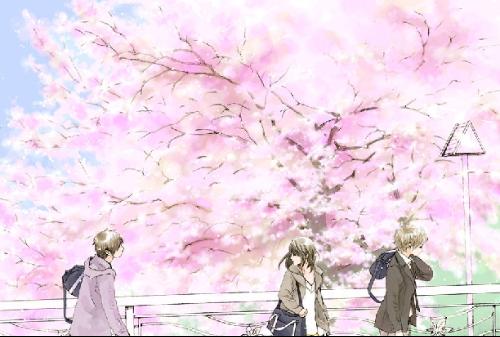 深入了解 芒果视频污污版